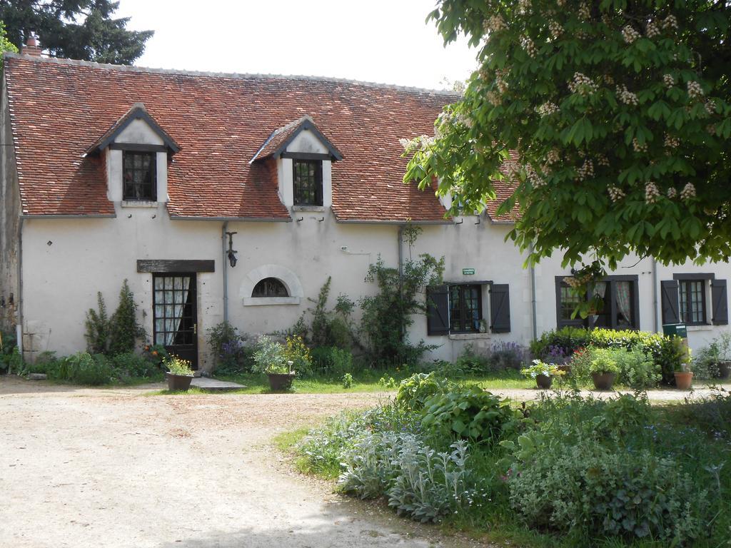 B&B La Ferme Des Bordes Pontlevoy Exterior foto